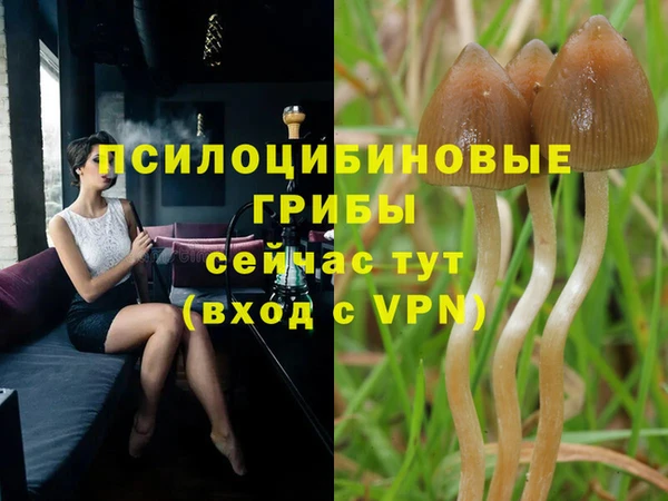альфа пвп Новокубанск