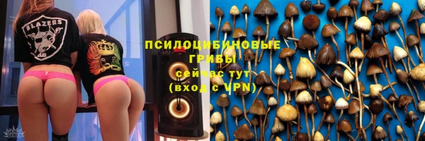 MESCALINE Новозыбков