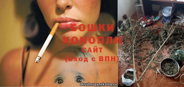 каннабис Новодвинск